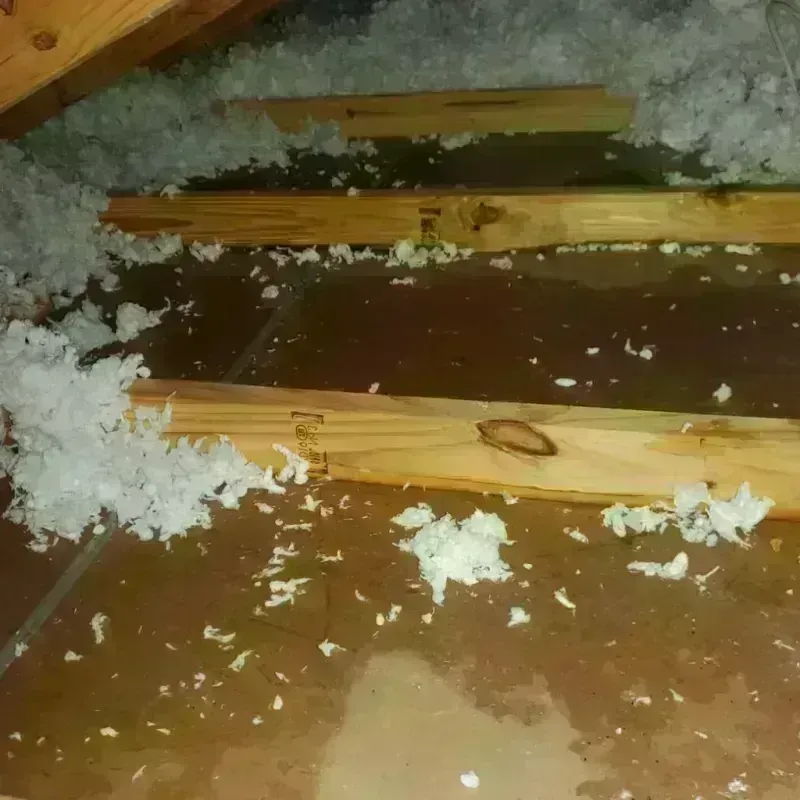 Attic Water Damage in Ramsey, MN